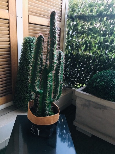 Cactus